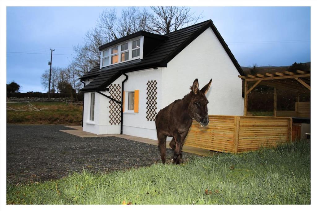 Killeavy Cottage Meigh Esterno foto