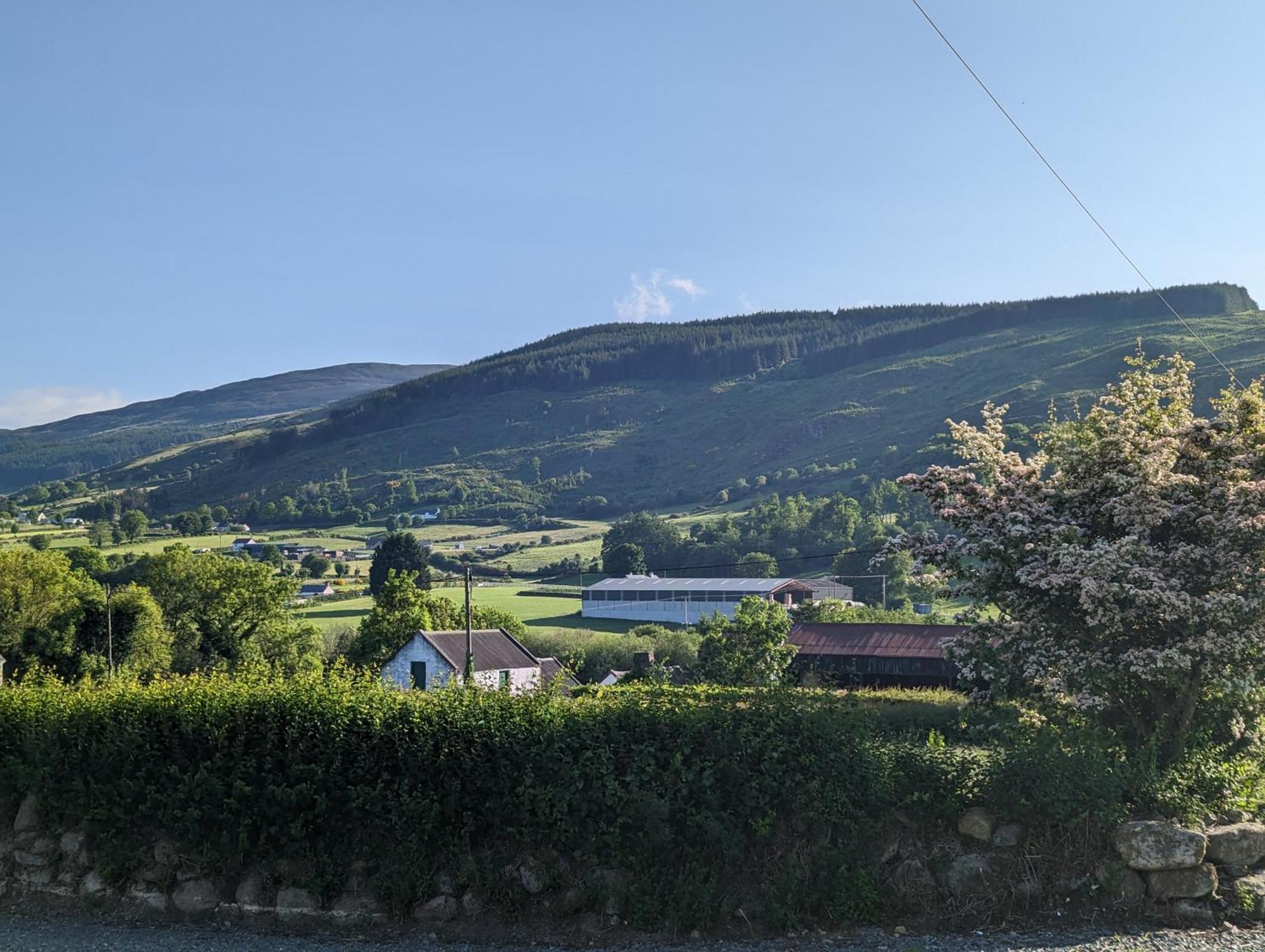 Killeavy Cottage Meigh Esterno foto