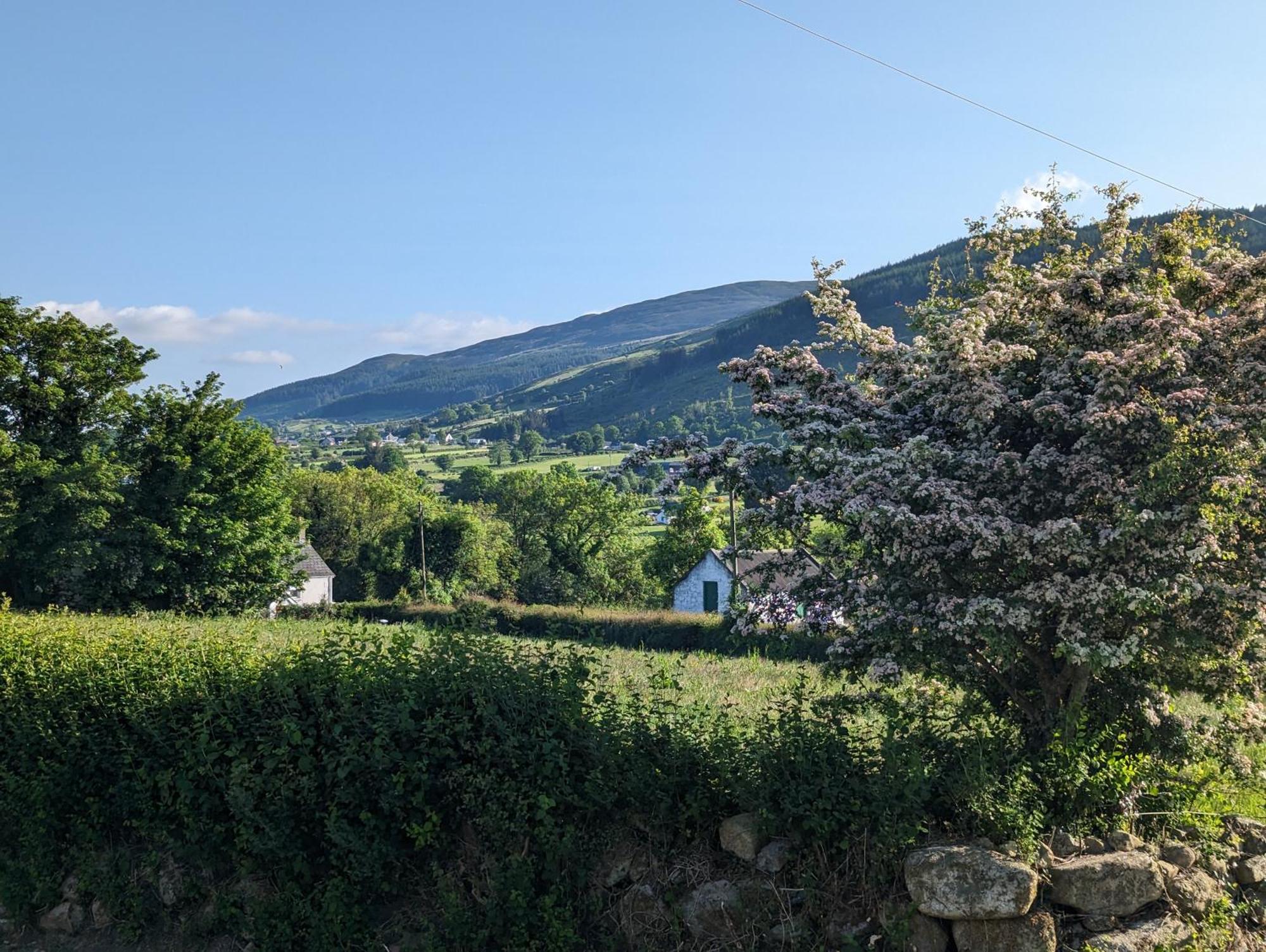 Killeavy Cottage Meigh Esterno foto