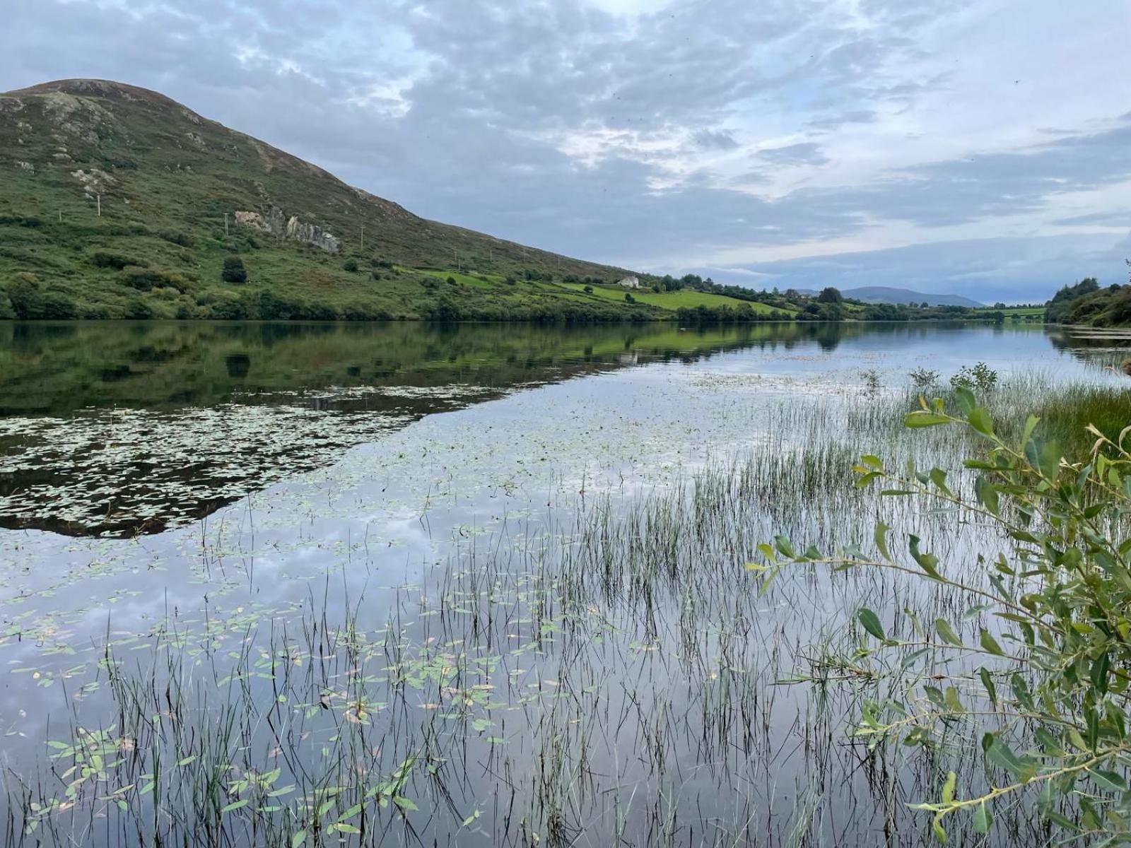 Killeavy Cottage Meigh Esterno foto