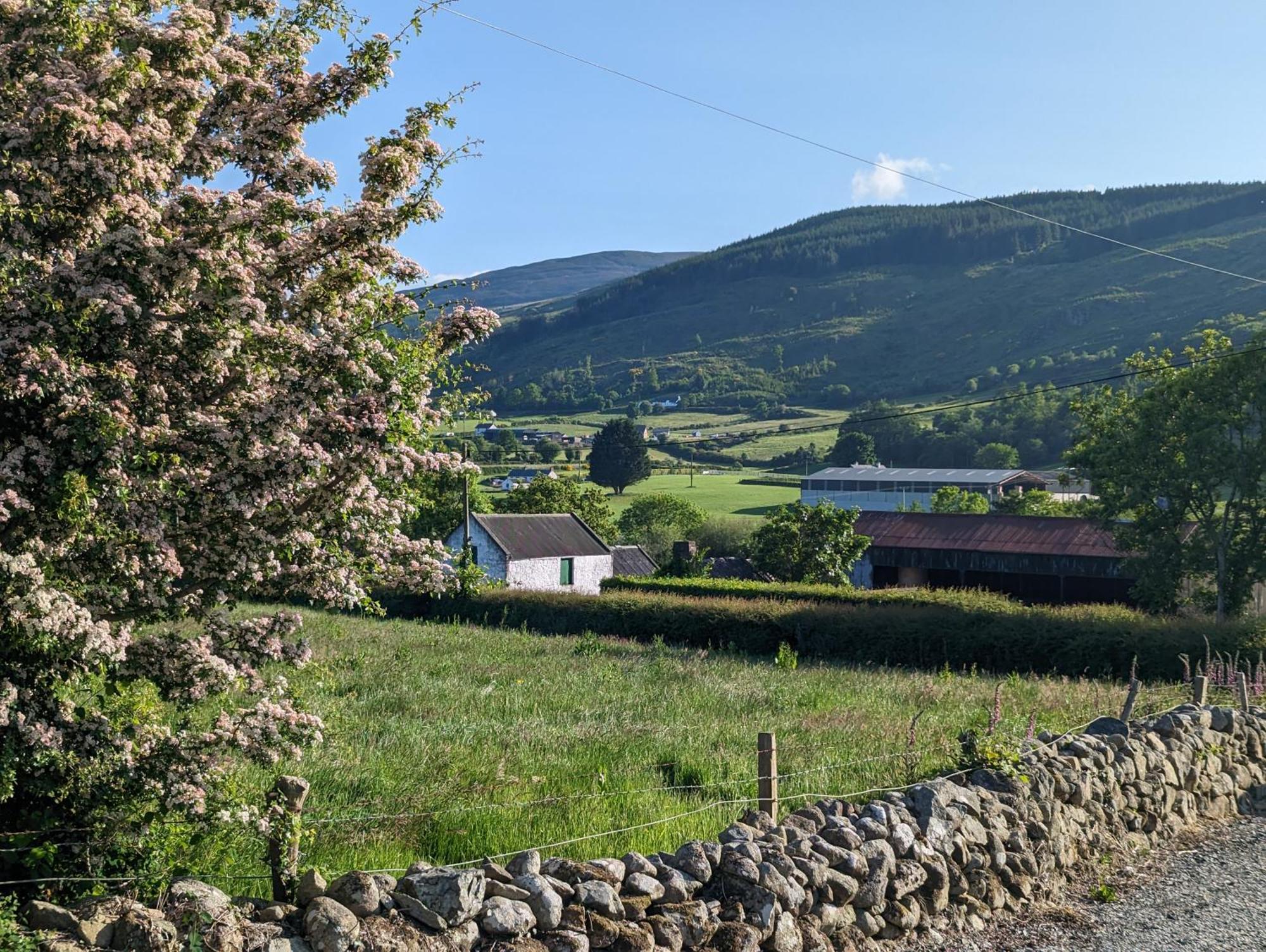 Killeavy Cottage Meigh Esterno foto