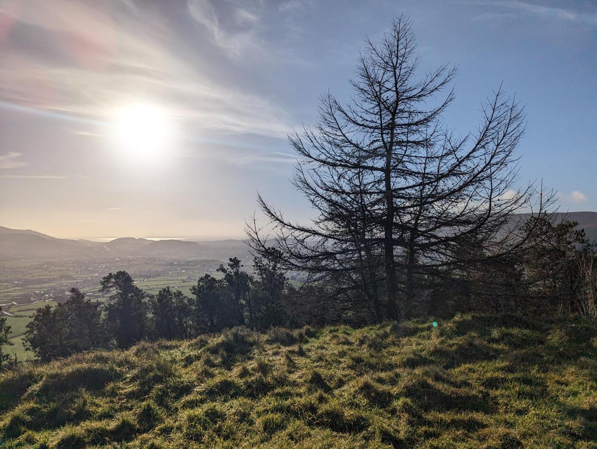 Killeavy Cottage Meigh Esterno foto