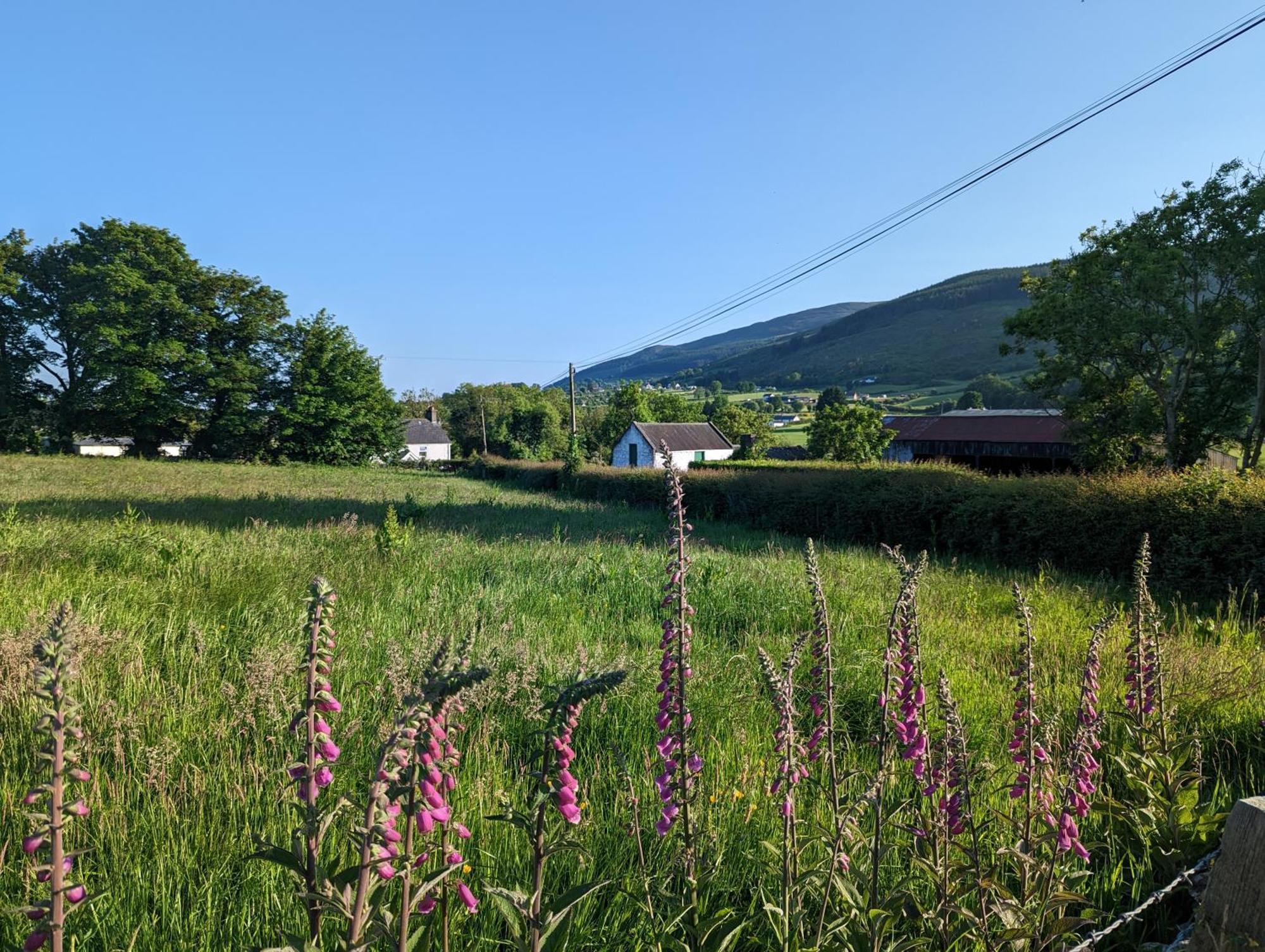 Killeavy Cottage Meigh Esterno foto